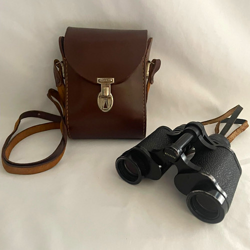 Carl zeiss jena jenoptem 8x30w - carl,