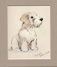 Lucy Dawson ~ Sealyham Terrier ~ Hand  Coloured Print. Genuine Vintage 1939