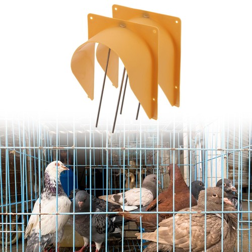 Pigeon trap door arch - pigeon,