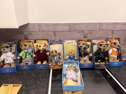 Compare the market meerkat - the,