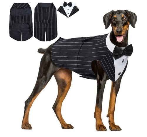 Pinstripe dog tuxedo formal - tuxedo,