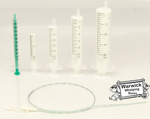 Puppy kitten tube feeding - feeding, kit