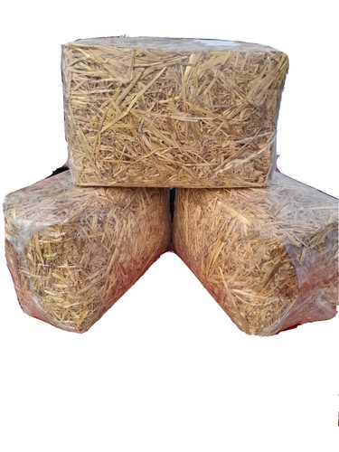 Mini straw bales - x,