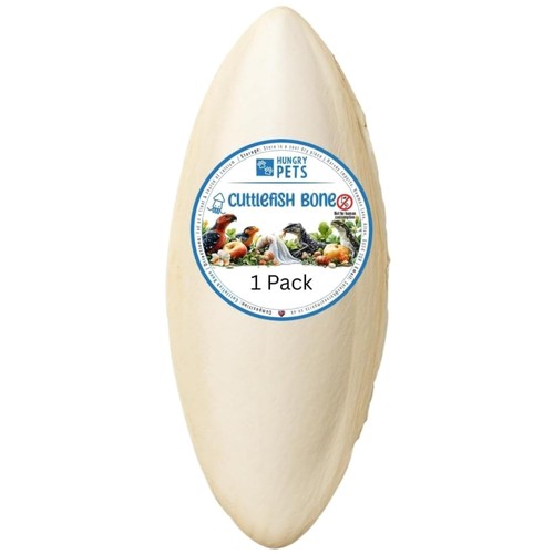 Cuttlefish bone 15cm - cuttlefish, 9-15cm