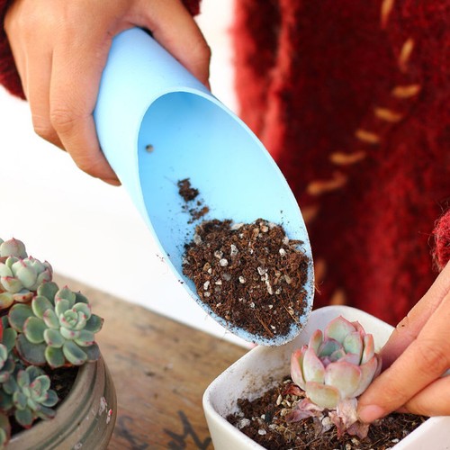 Pcs garden scoop for - 5,