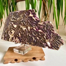 2.6LB  Zebra Marble End Plate Cabbing Lapidary Carved Spiritual Chakra Utah