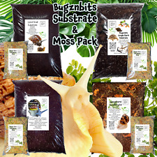 Bugznbits Land Snail Substrate & Moss Pack Giant African Snails, Garden Snails
