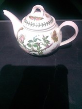 Portmeirion Botanic Garden Dog