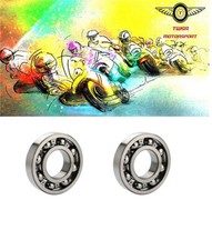 Genuine KMX125 / KMX200 Engine Crankshaft Main Bearings