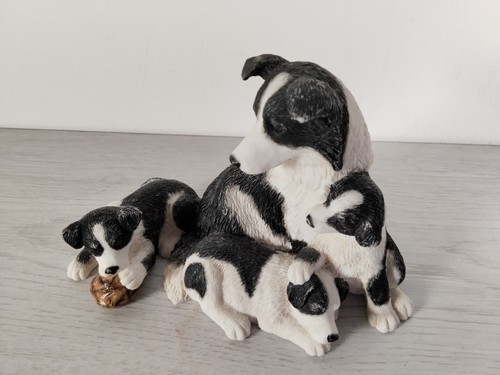 Border collie with - border, pups