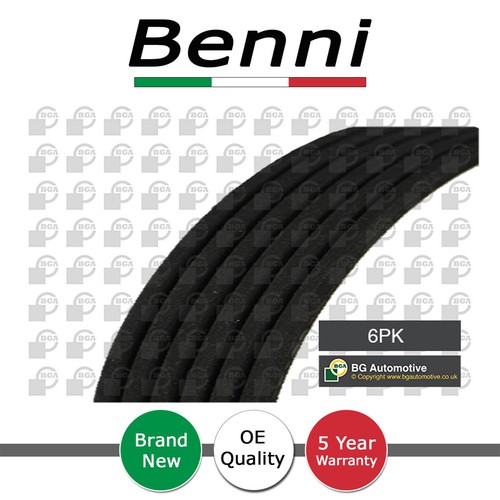 Ribbed drive belt benni - benni, fits