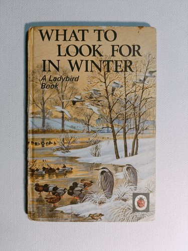 Ladybird book series 536 what - ladybird,