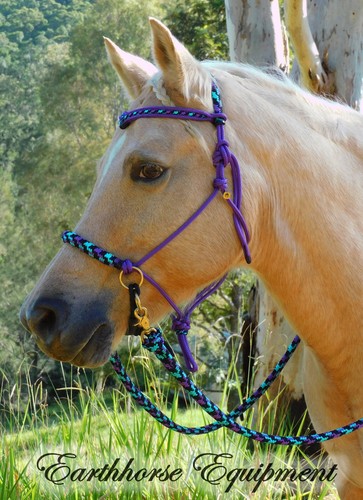 Earthhorse equipment bitless - earthhorse,