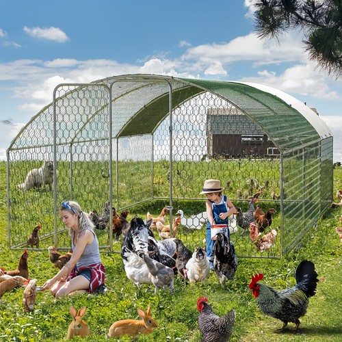 Walk chicken run coop cage - coop,