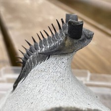 Erbenochile trilobite from