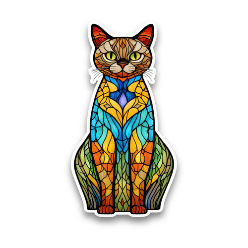 Cute burmese cat kitten - cat,