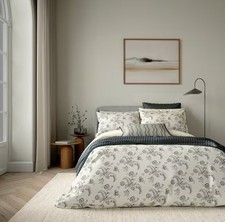 Bedeck of Belfast Arianne