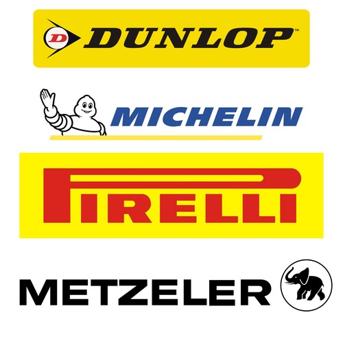 Motorcycle swing arm sticker - arm,
