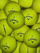 12 Yellow Callaway Warbird