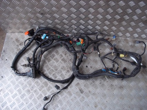 Honda integra type dc5 rhd - honda,