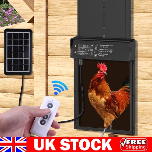 Waterproof automatic chicken - automatic,