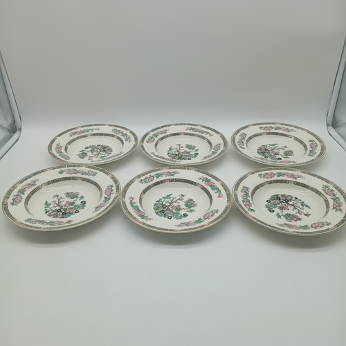 Set wedgwood indian tree - of,