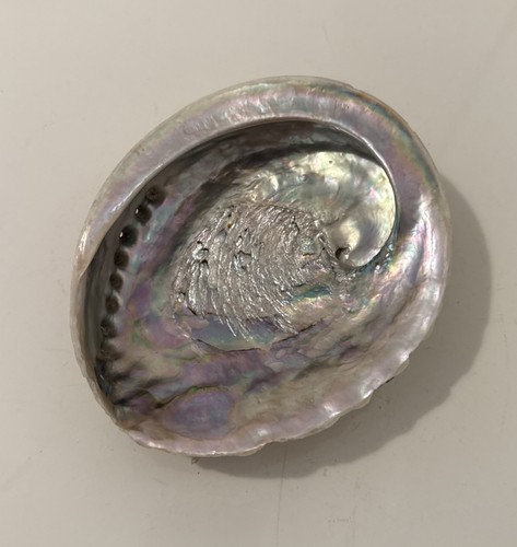 Abalone paua mother pearl - abalone,
