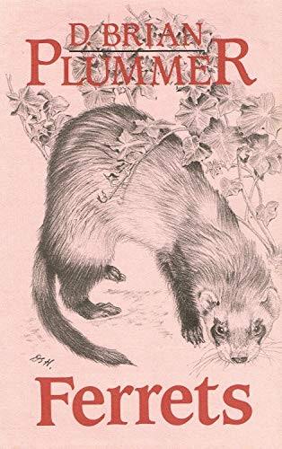 Ferrets plummer brian - ferrets,,