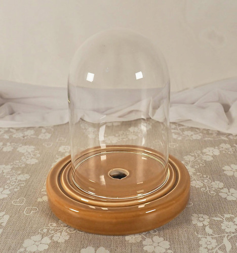 Vintage glass cloche display - vintage,