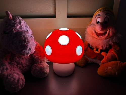 Mushroom lamp night - night, light