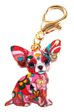 Beautiful Cute Chihuahua /