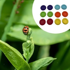 12Pcs Roaches Feeder Bowls