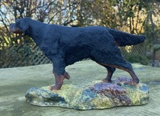 Border Fine Arts Gordon Setter