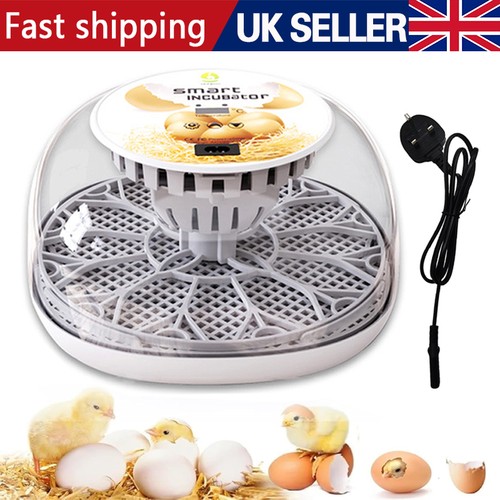Digital eggs incubator - 12-eggs,
