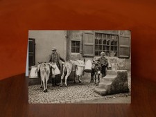 Milk Donkeys - A5 Art Print