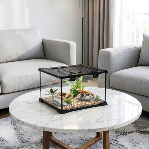 Reptile terrarium tropical - reptile,