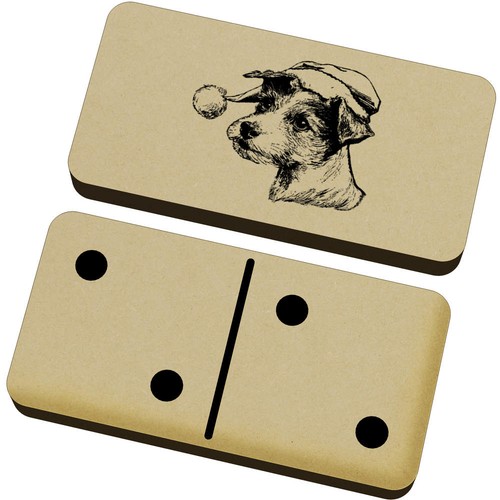 Jack russell terrier - 'jack, wearing