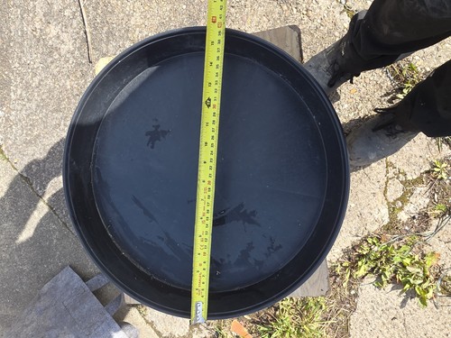 X10 pack plant - x10, 16"
