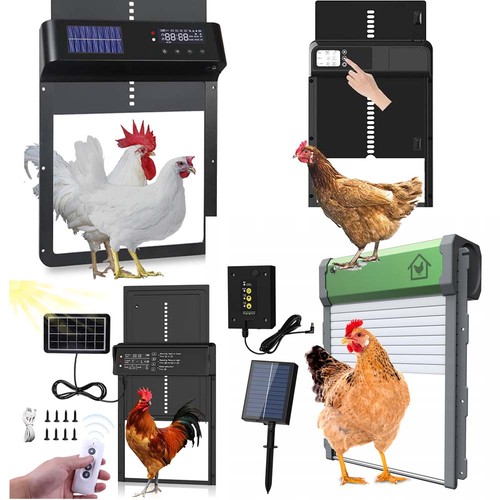 Automatic chicken coop door - coop,