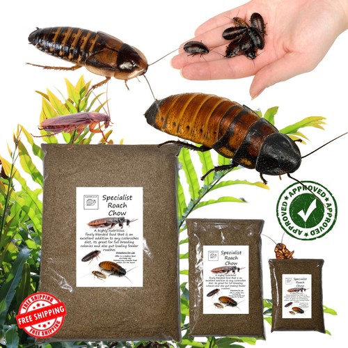 Specialist roach chow - roach, chow,
