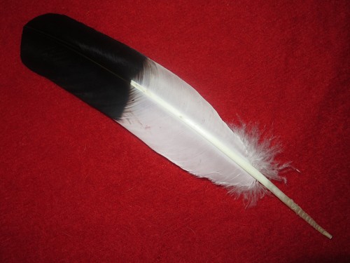 Native american made - native,