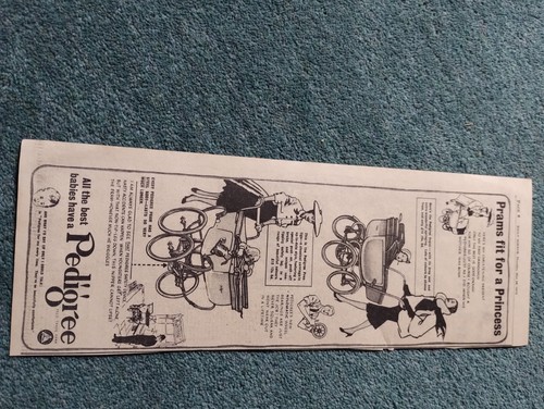 Di49 ephemera 1953 advert - di49,