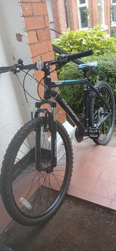 Muddy fox anarchy - 100, mountain