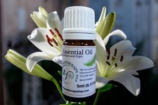 Lily Pure Essential Oil