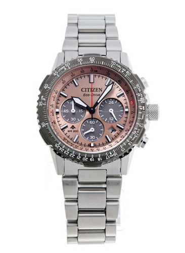 Citizen promaster sky - promaster,