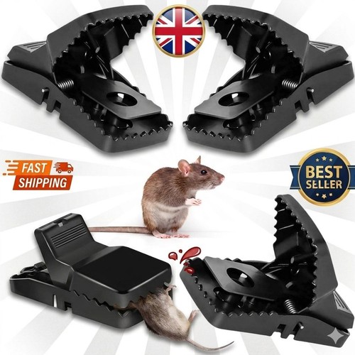 Long 4pack rat - long,