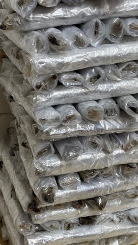 Frozen black lug wraps 100 - frozen,