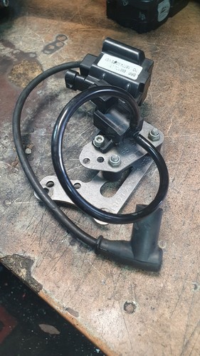 Rotax max evo coil - evo,