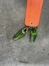 KAWASAKI KX 60 KX60..FOOT