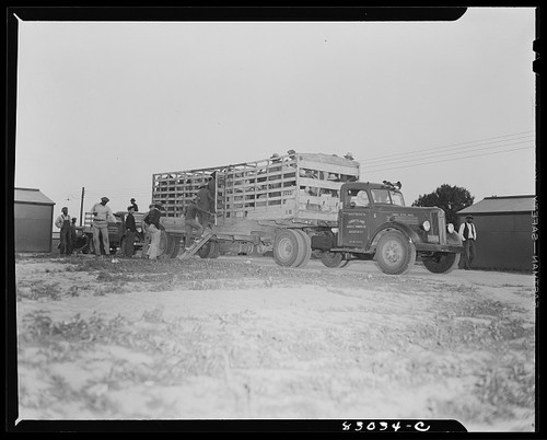 Photo 1930s semi truck load - semi,